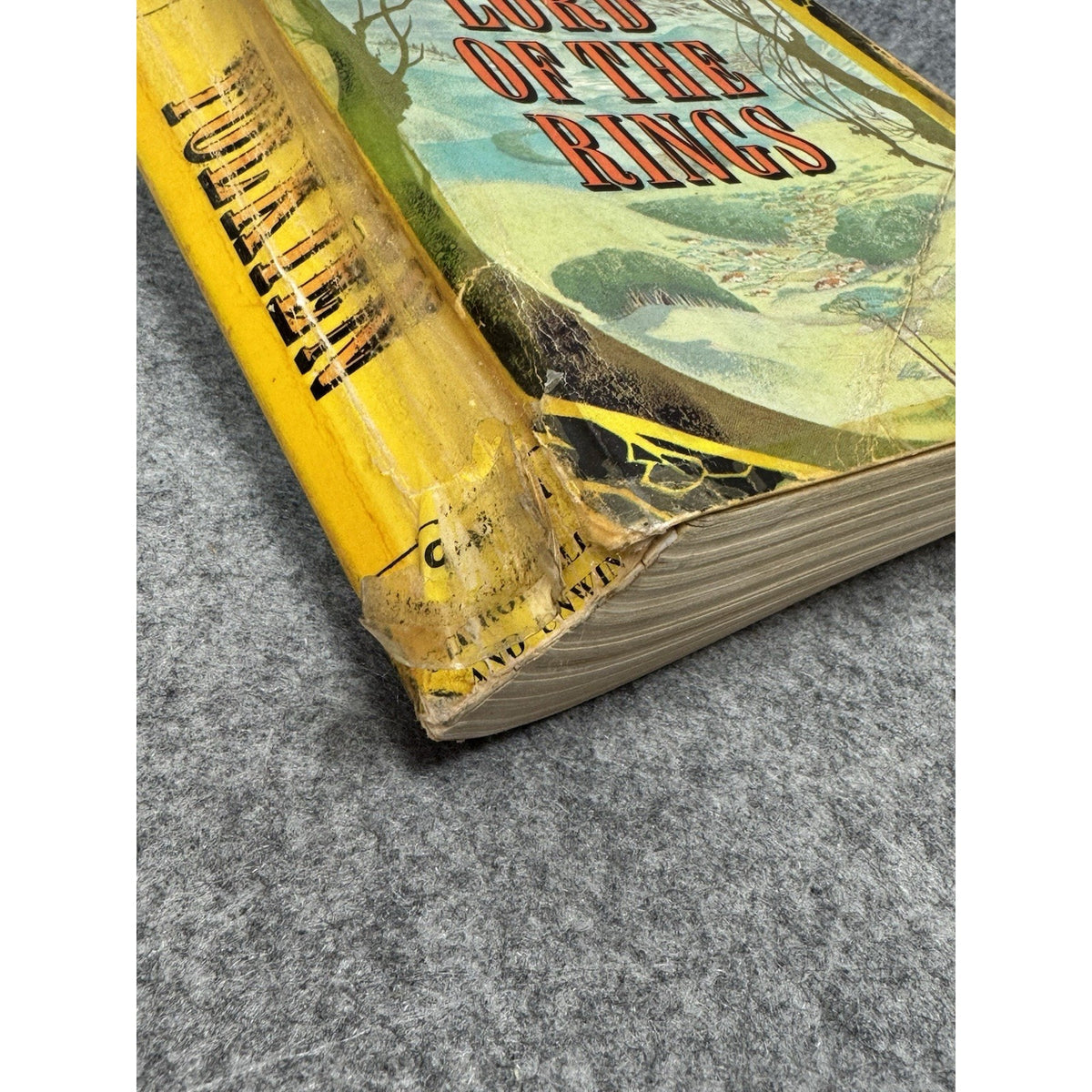 1969 Lord of the Rings JRR Tolkien Allen & Unwin Pauline Baynes Paperback
