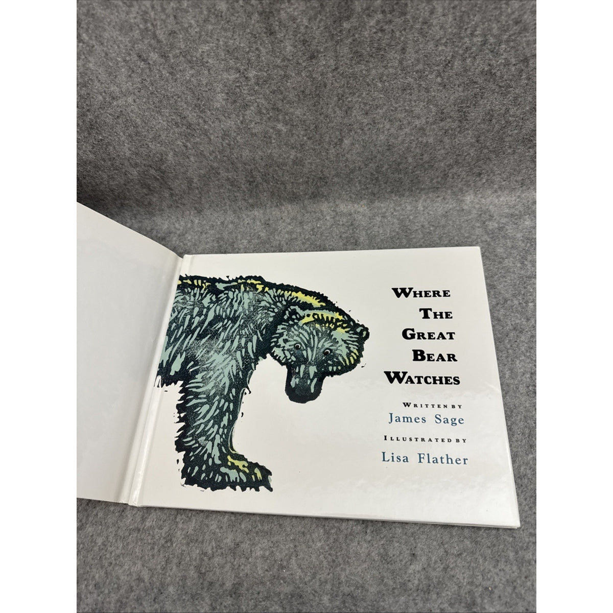 Where the Great Bear Watches by James Sage (1993, Hardcover)