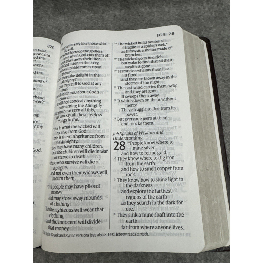 Holy Bible, Giant Print NLT by Tyndale House Publishers Staff (2008,...