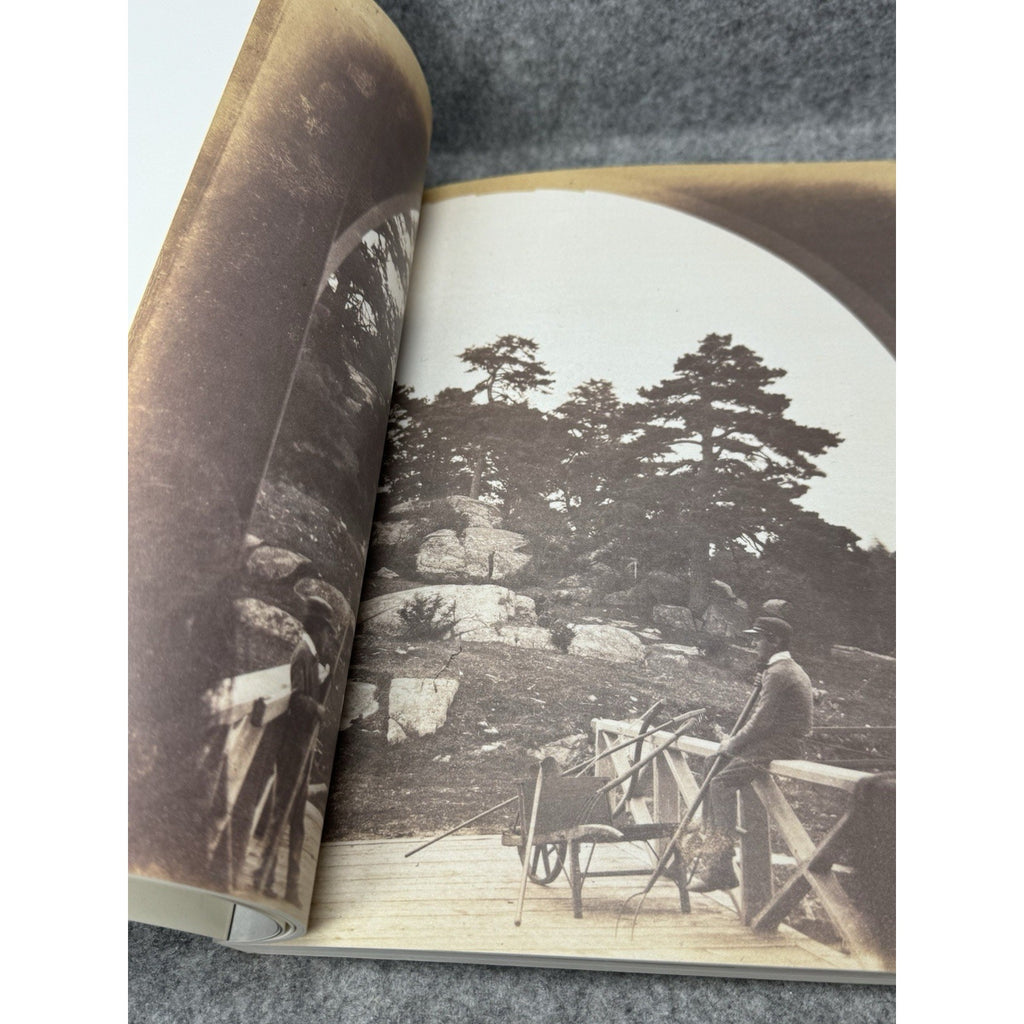 1996 American Photographs The First Century Merry Foresta Smithsonian