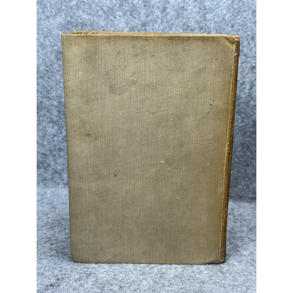 1919 U Boat 202 War Diary German Submarine WWI von Spiegel First UK Edition