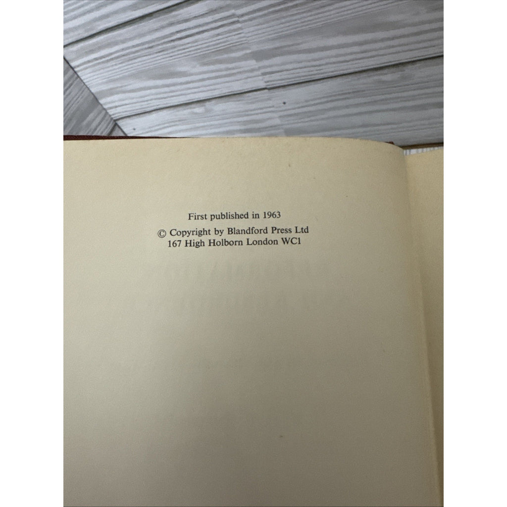 Reformation and Resurgence 1485-1603 : England in the Sixteenth C