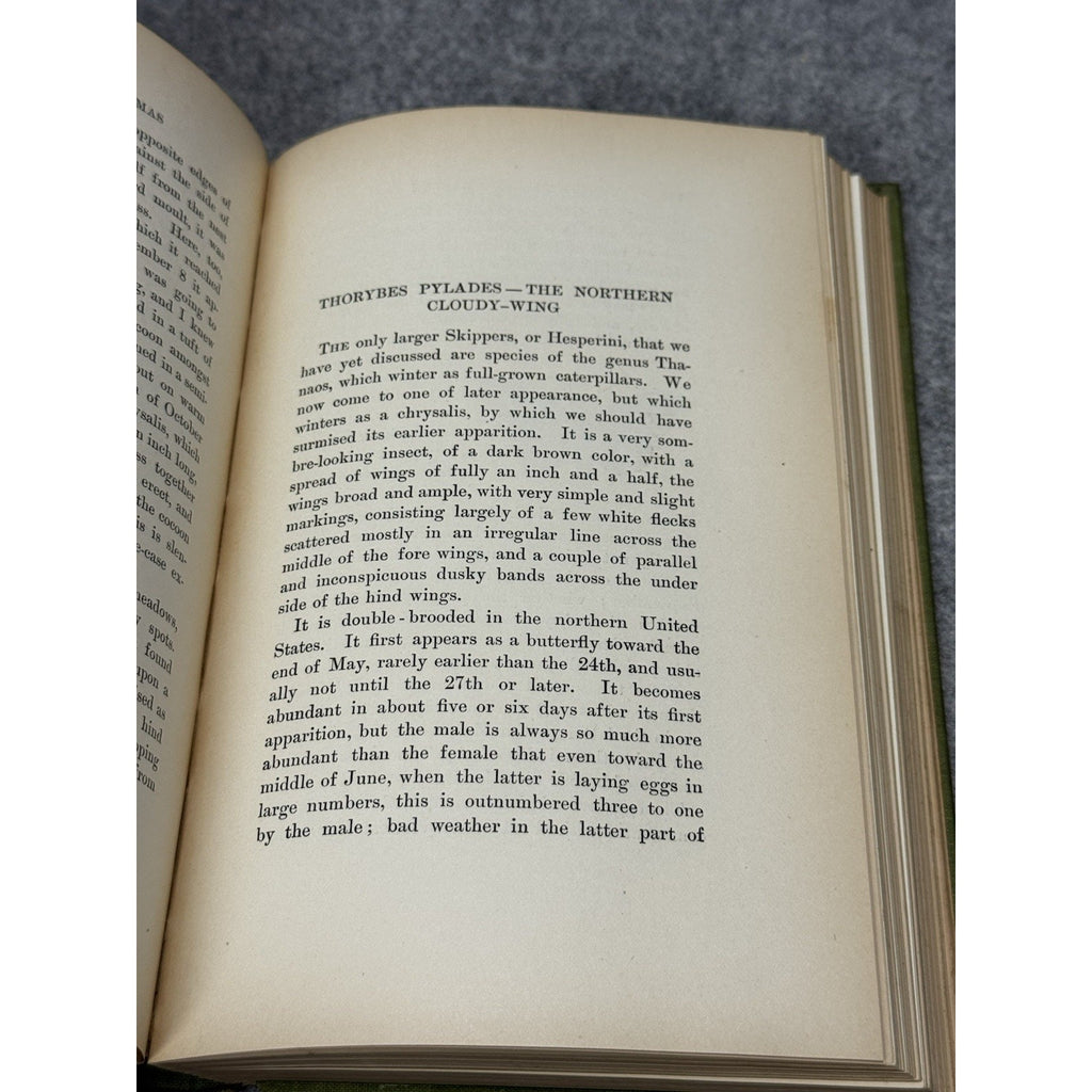 1899 Every-Day Butterflies Scudder First Edition Gilt Hardcover Color Plates
