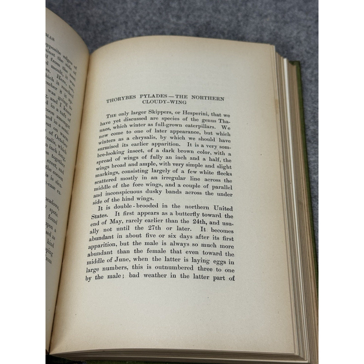 1899 Every-Day Butterflies Scudder First Edition Gilt Hardcover Color Plates