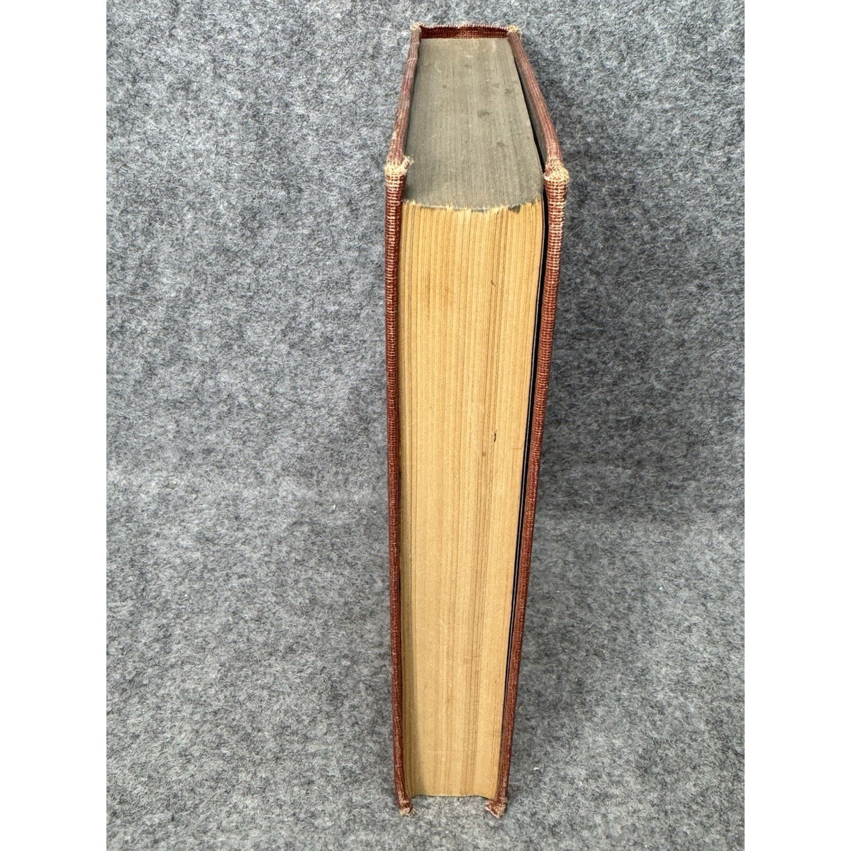 1948 Introduction to St Thomas Aquinas Anton Pegis First Modern Library Edition
