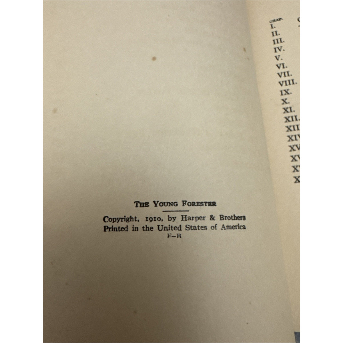 Zane Grey THE YOUNG FORESTER Book 1st Edition 1st Printing HC DJ 1910 First