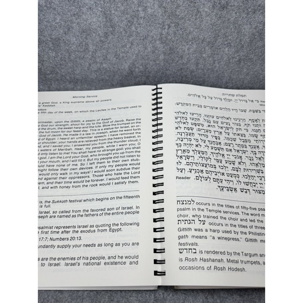 Ha-Siddur Ha-Shalem Weekday Prayer Book Vol 1 Birnbaum Large Print JBI 5763