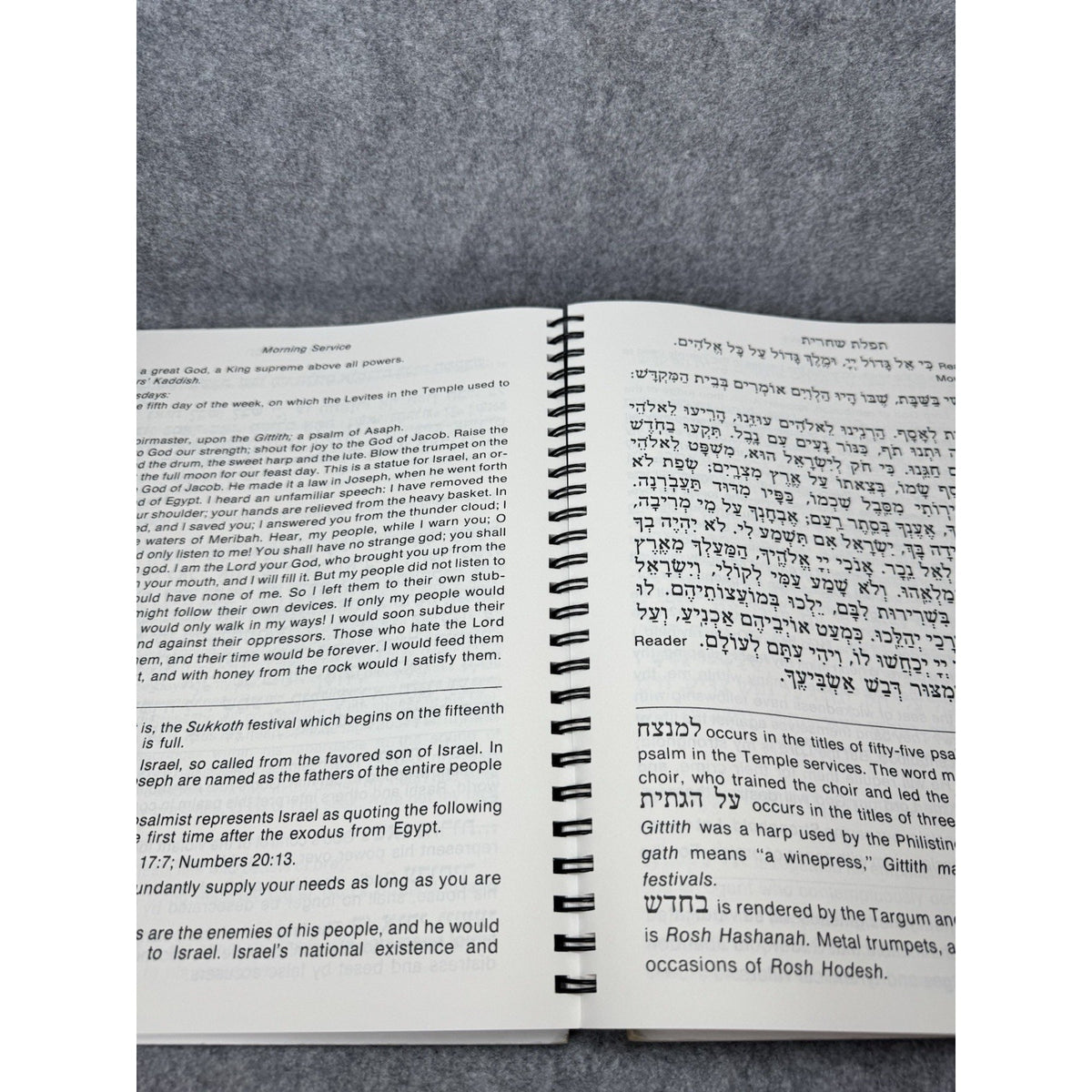 Ha-Siddur Ha-Shalem Weekday Prayer Book Vol 1 Birnbaum Large Print JBI 5763