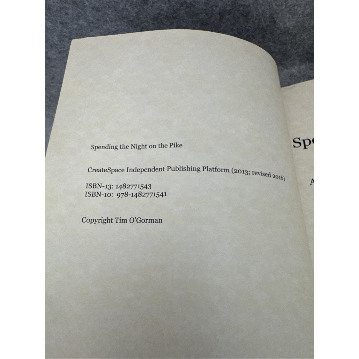 Spending the Night on the Pike by Tim O'Gorman (2013, Trade Paperback)