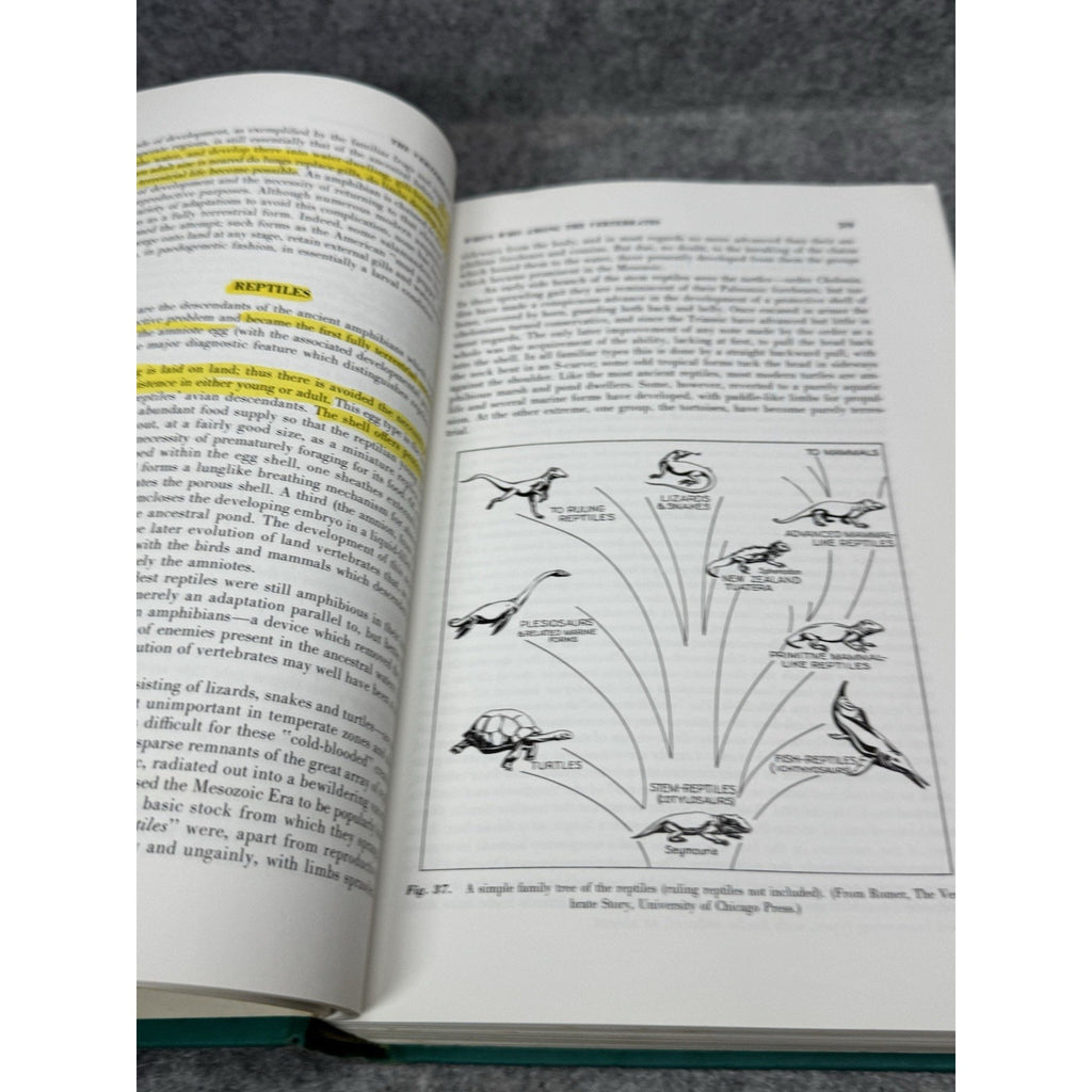 The Vertebrate Body Alfred Romer 3rd Ed 1966 Comparative Anatomy Illustrated