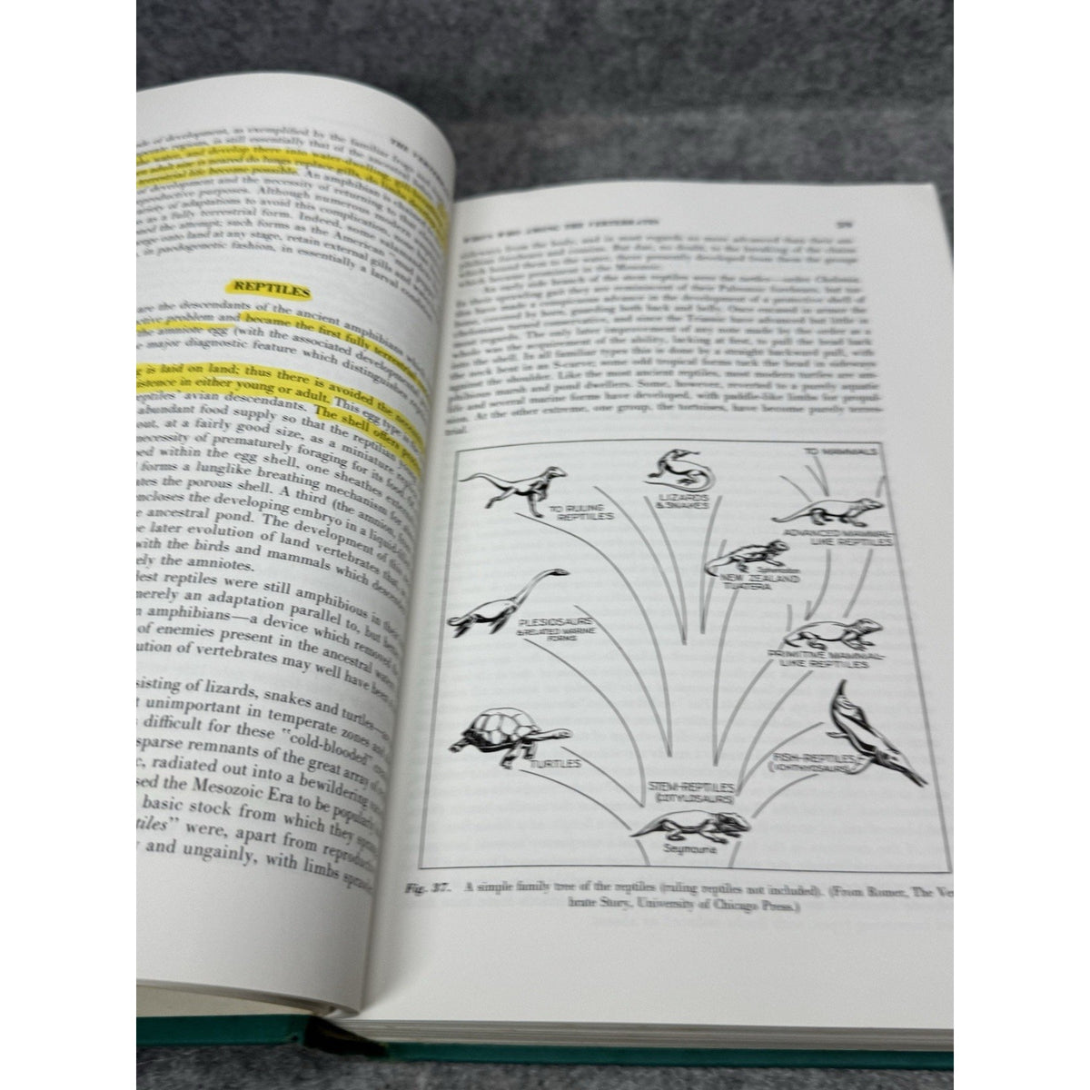The Vertebrate Body Alfred Romer 3rd Ed 1966 Comparative Anatomy Illustrated