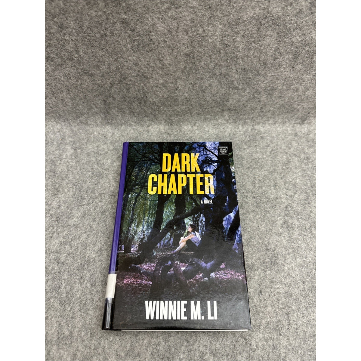 Dark Chapter by Winnie M. Li (2018, Library Binding)