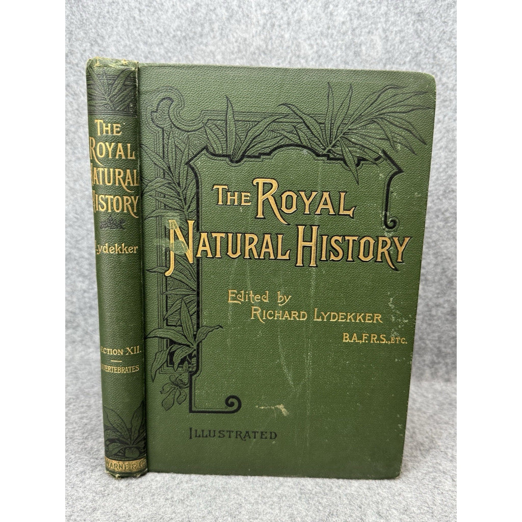 1896 Royal Natural History Vol VI Sec XII Invertebrates Color Plates Lydekker