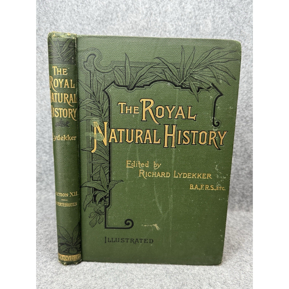 1896 Royal Natural History Vol VI Sec XII Invertebrates Color Plates Lydekker
