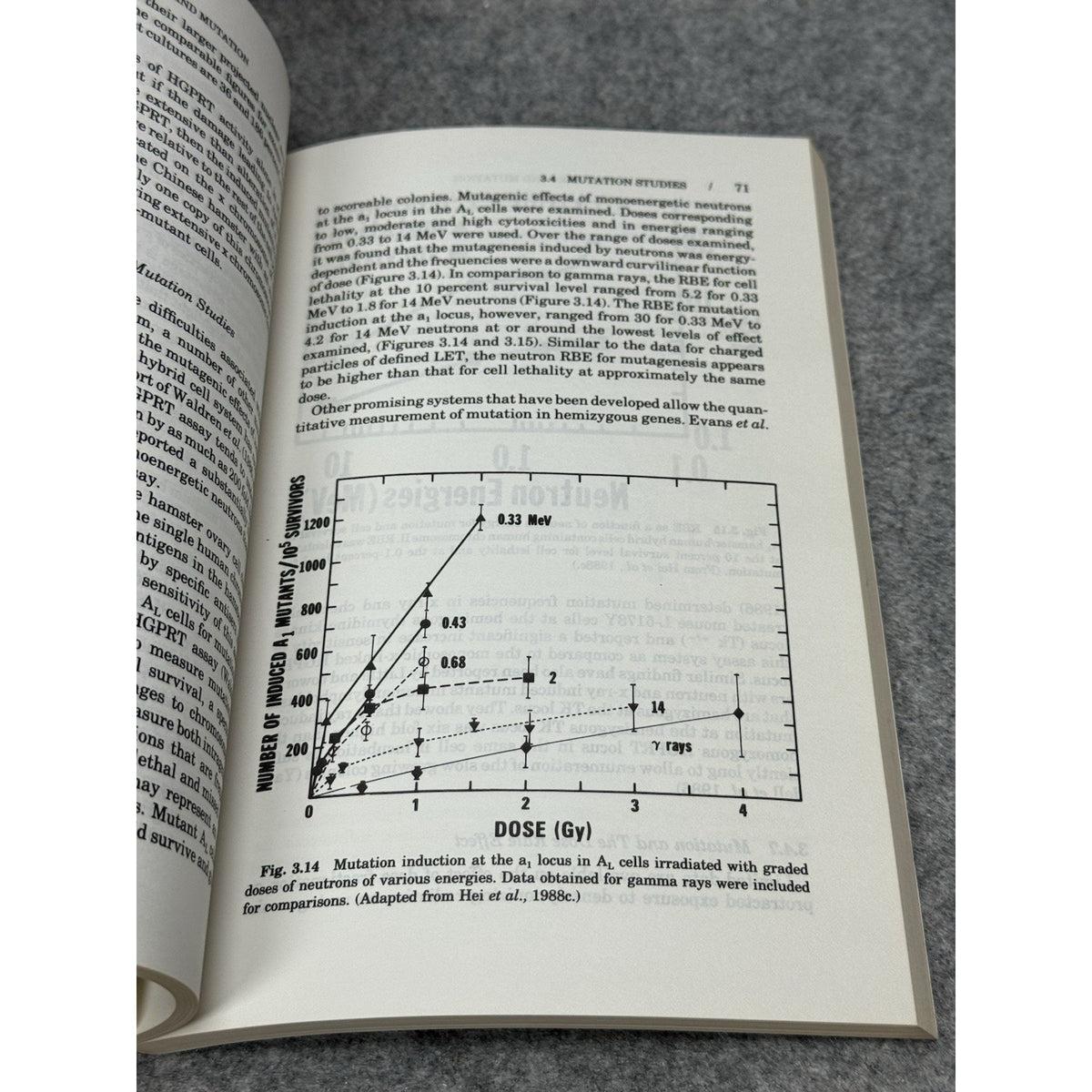 NCRP Report 104 Relative Biological Effectiveness Radiation Radiobiology