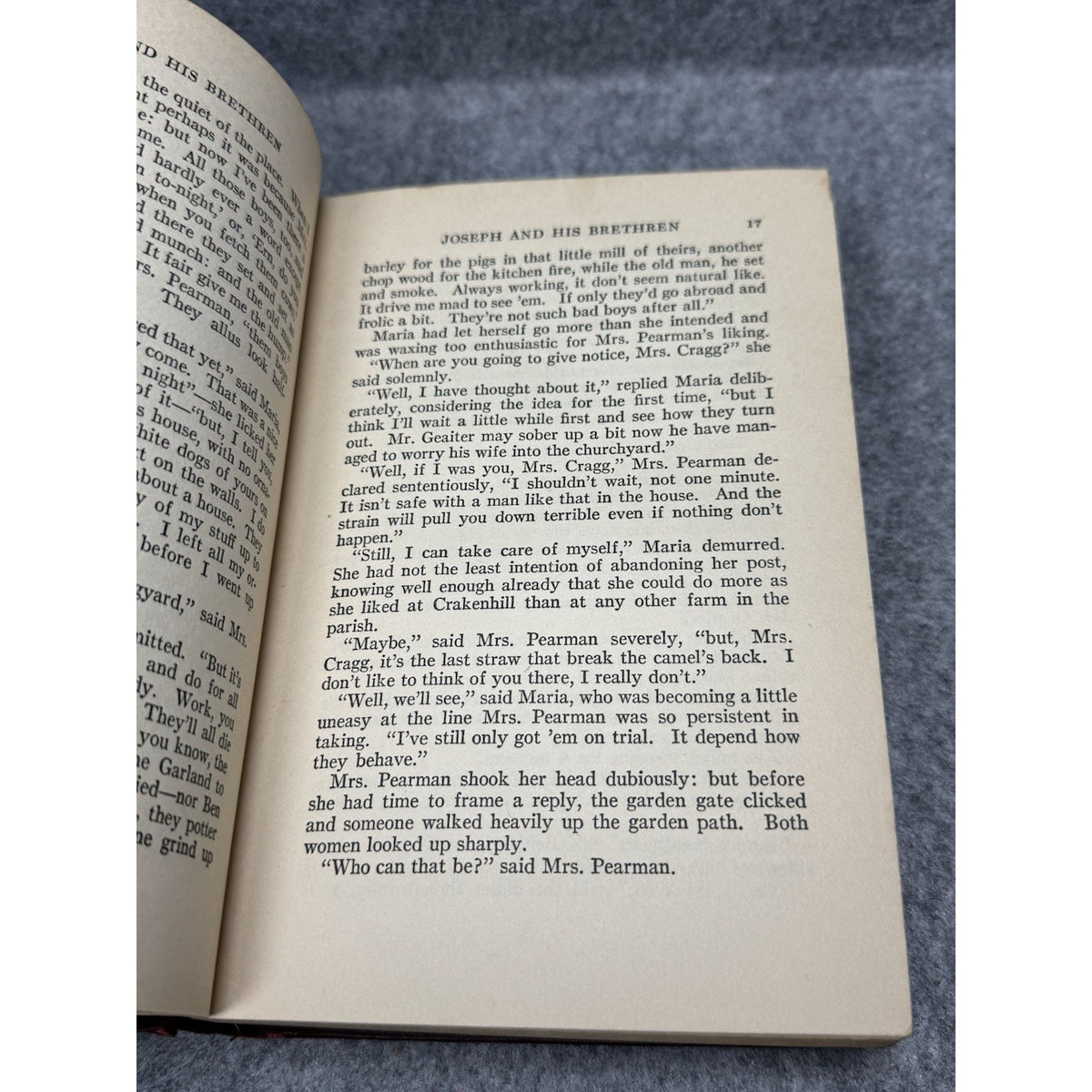 1929 Joseph and His Brethren H.W. Freeman 1st Ed Rural English Farm Novel