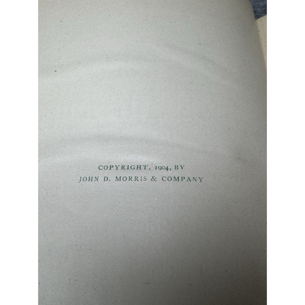 Irish Literature 1904 Vols IV & VII Douglas Hyde Justin McCarthy 2 Books
