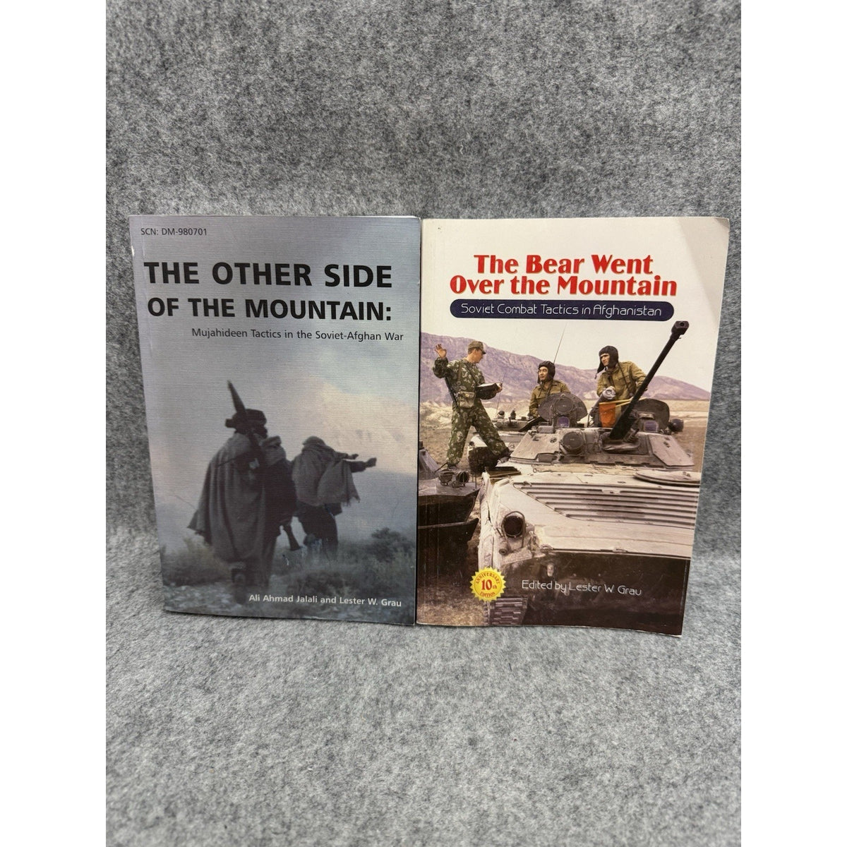 The Bear Went Over Mountain & Other Side Mountain Afghan War 2 Book Set