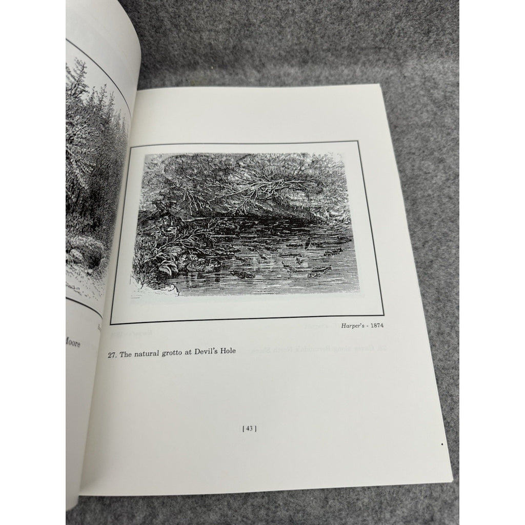 1996 Bermuda Through Distant Eyes David F. Raine PB Illustrated 1st Ed