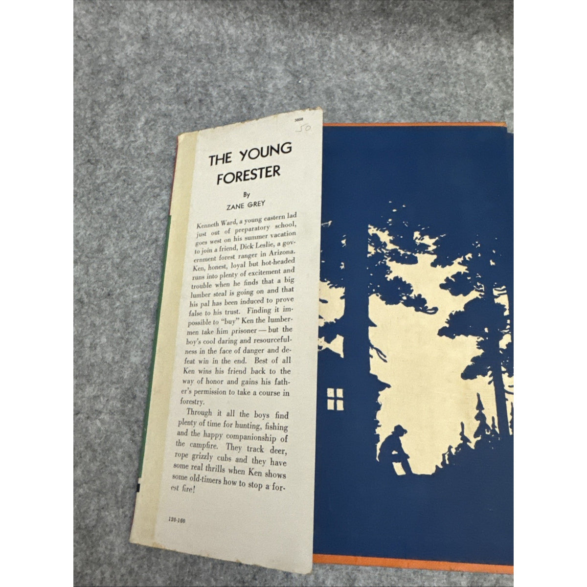 Zane Grey THE YOUNG FORESTER Book 1st Edition 1st Printing HC DJ 1910 First