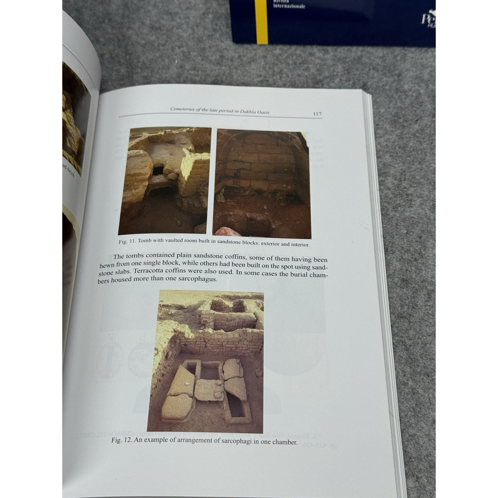 Papyrologica Lupiensia 18-21 2009-2012 Capasso 2 Vol Set Egyptology