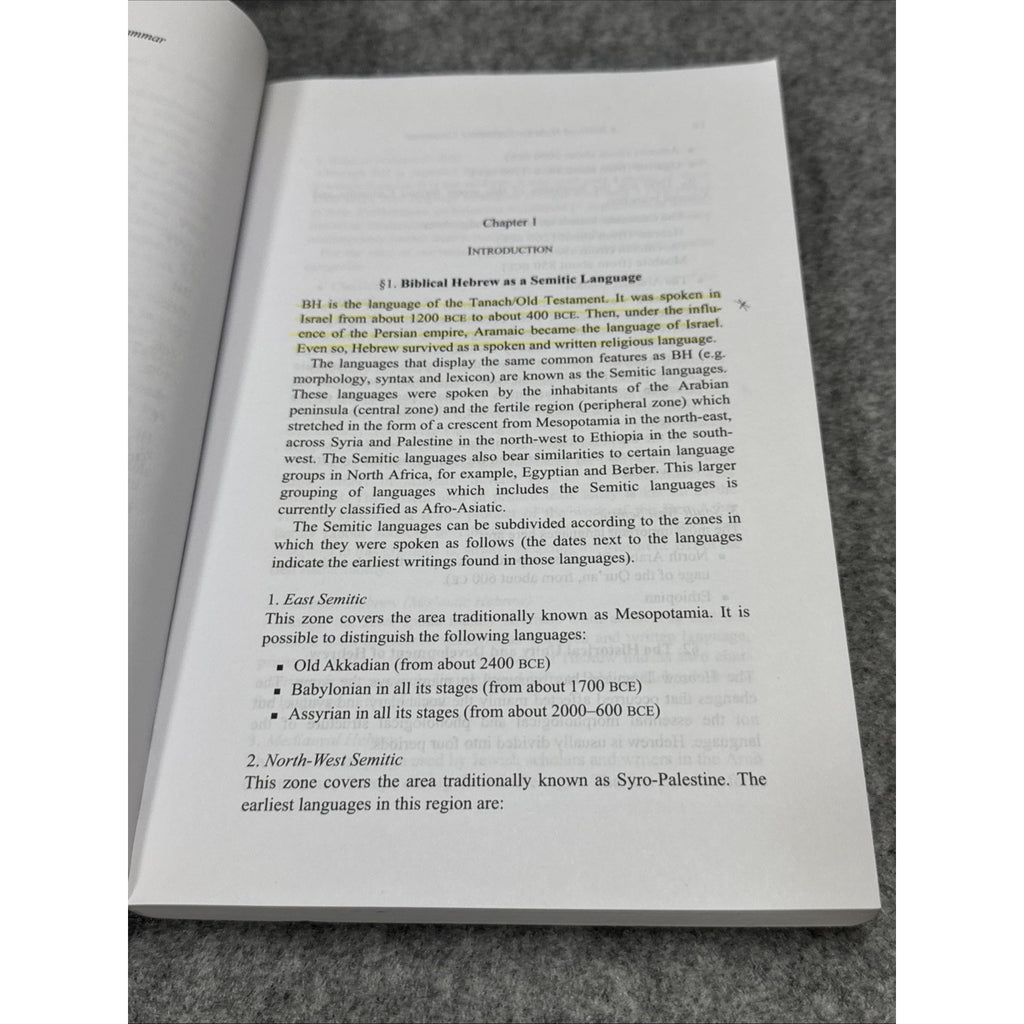 Biblical Languages: Hebrew Ser.: Biblical Hebrew Reference Grammar by Christo H.
