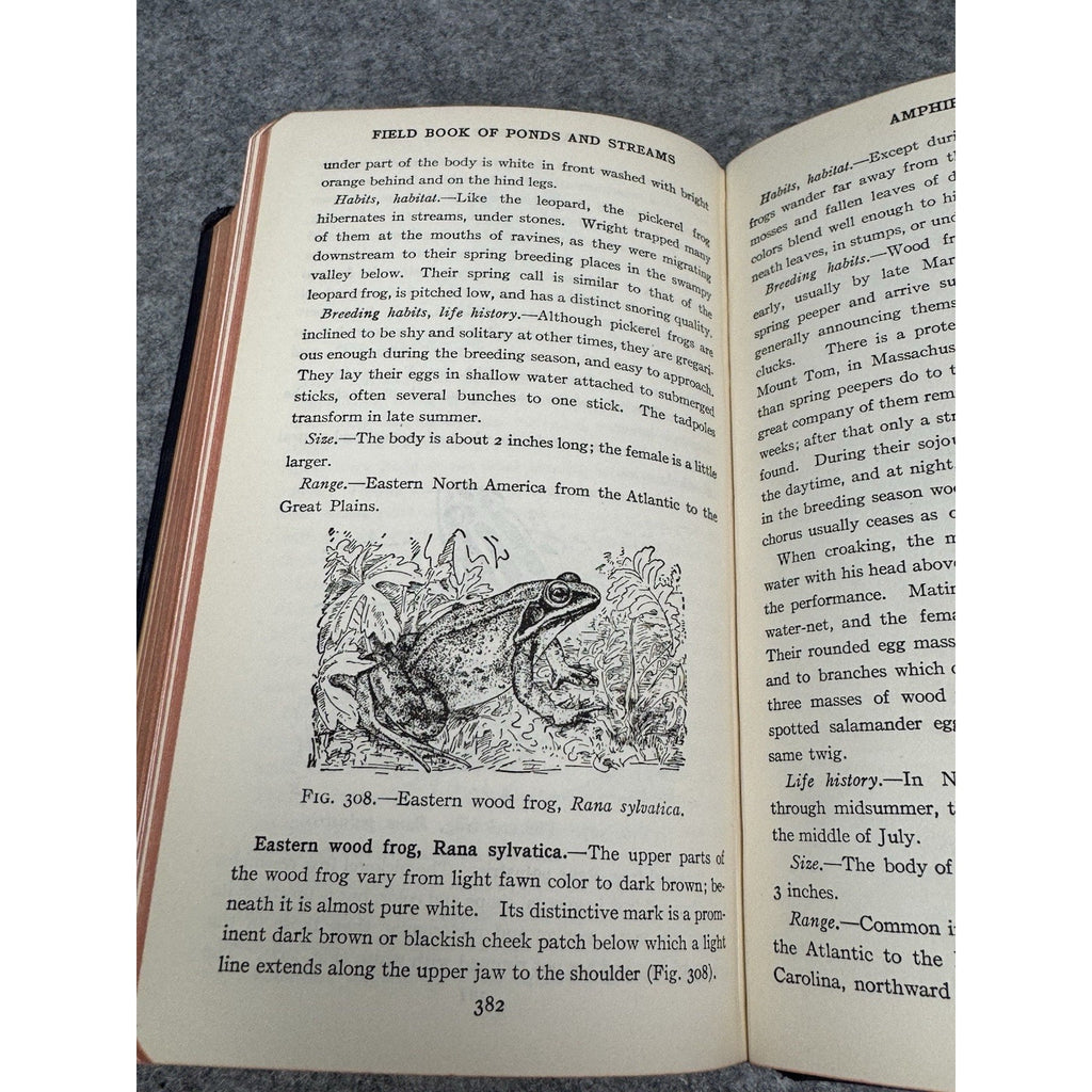 1930 Field Book of Ponds and Streams Ann Haven Morgan Illustrated Hardcover