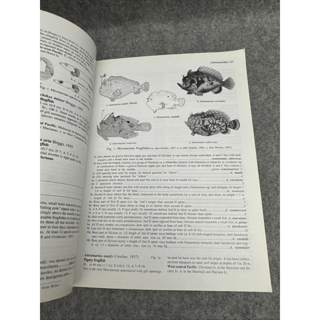 Micronesian Reef Fishes: A Practical Guide to the Identification on the Cora...