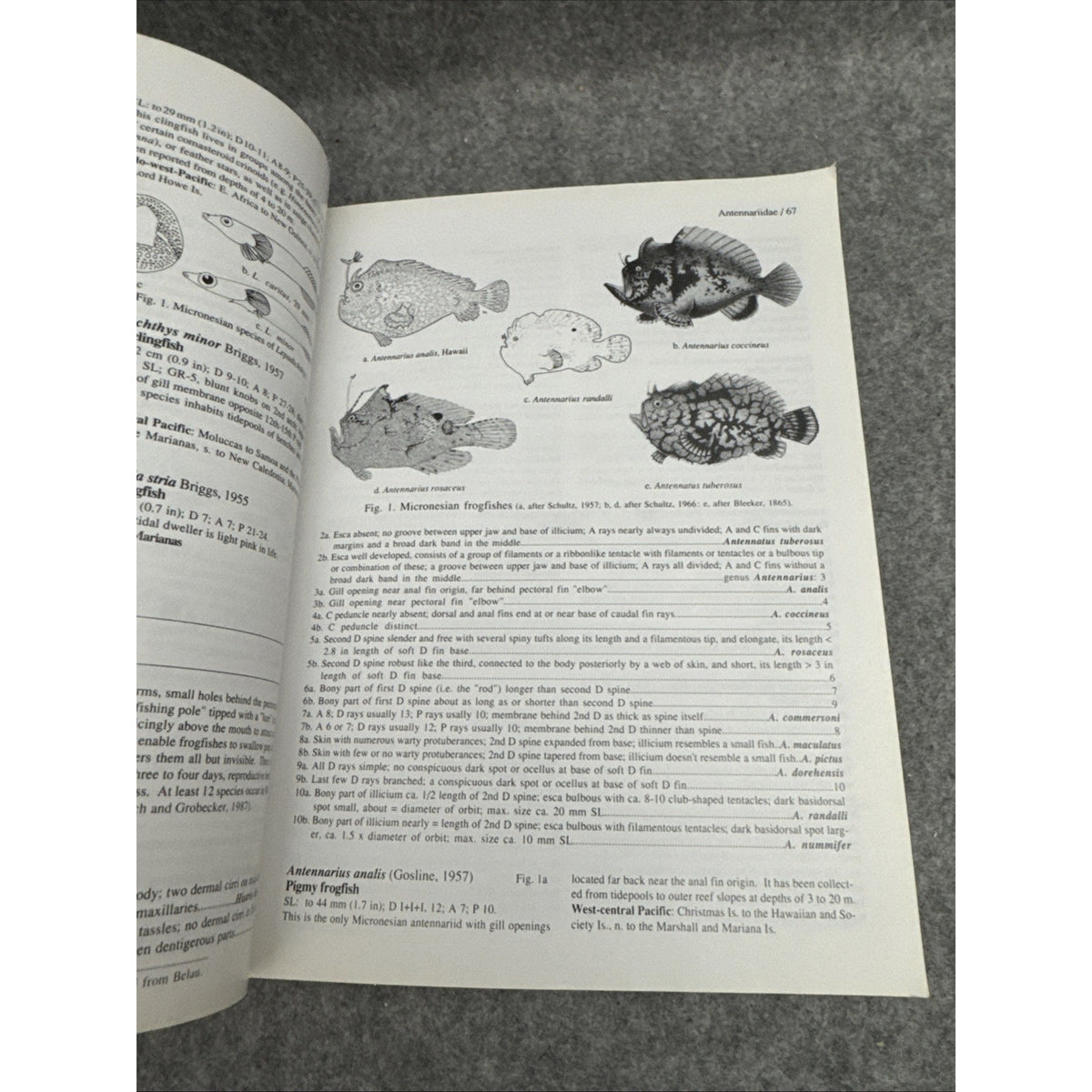 Micronesian Reef Fishes: A Practical Guide to the Identification on the Cora...