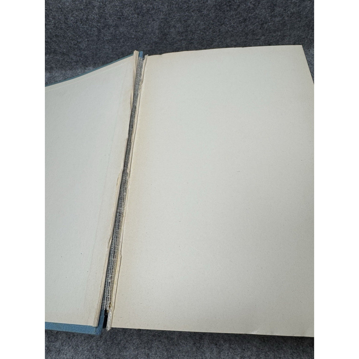 Wisse Erkenne Handle Wilhelm Heupke 1959 German Medical Anatomy Illustrated HC