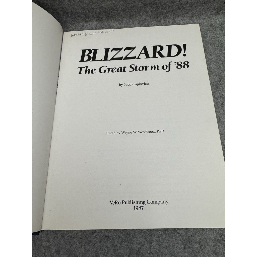 Blizzard! The Great Storm of ’88 Judd Caplovich 1987 1st Ed HC DJ