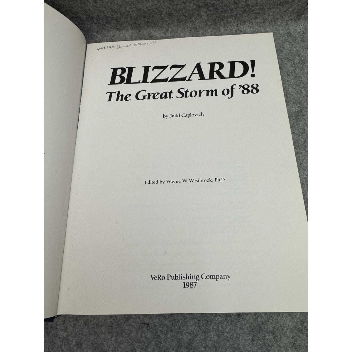 Blizzard! The Great Storm of ’88 Judd Caplovich 1987 1st Ed HC DJ