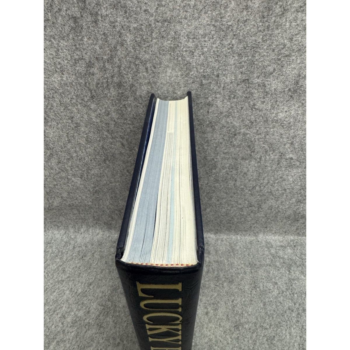 1995 Lucky Bag United States Naval Academy USNA Yearbook HC