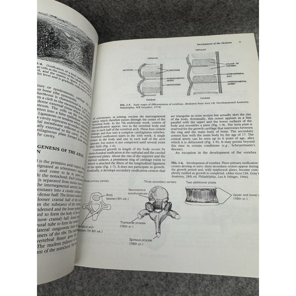 Orthopaedics : Principles and Their Application by Samuel L. Turek Part I & II