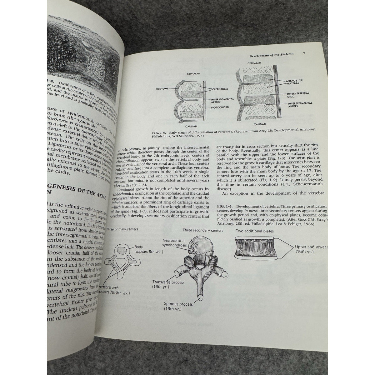 Orthopaedics : Principles and Their Application by Samuel L. Turek Part I & II