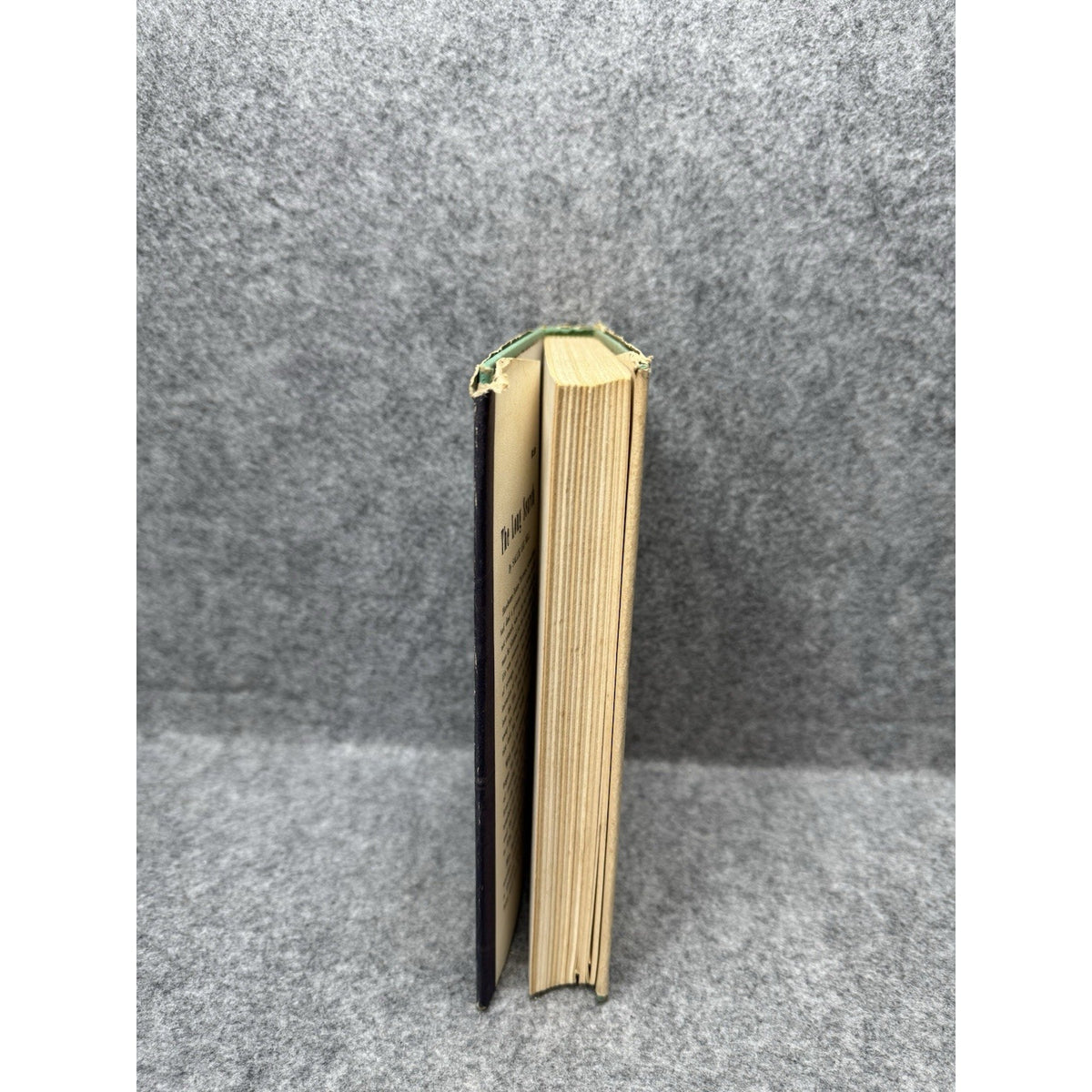 1958 The Long Search Sallie Lee Bell First Edition HC DJ Zondervan