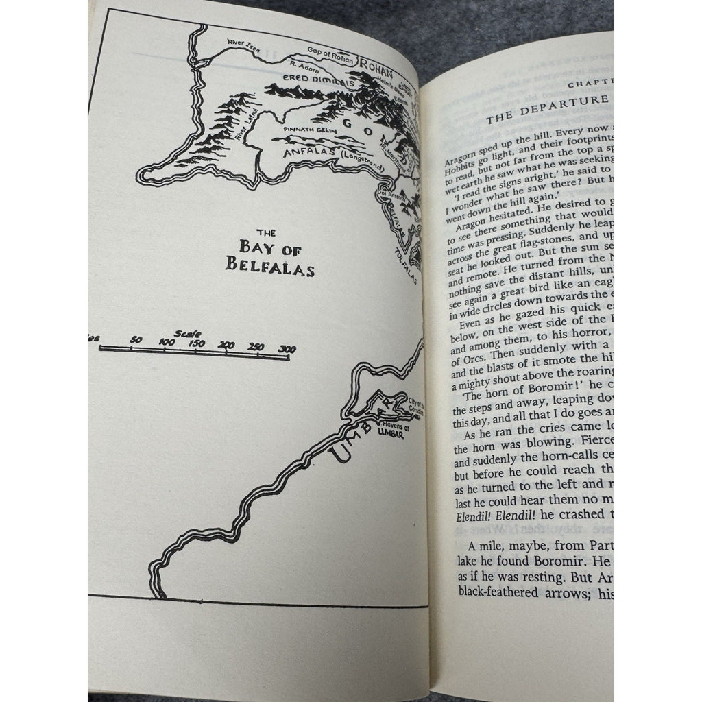1969 Lord of the Rings JRR Tolkien Allen & Unwin Pauline Baynes Paperback
