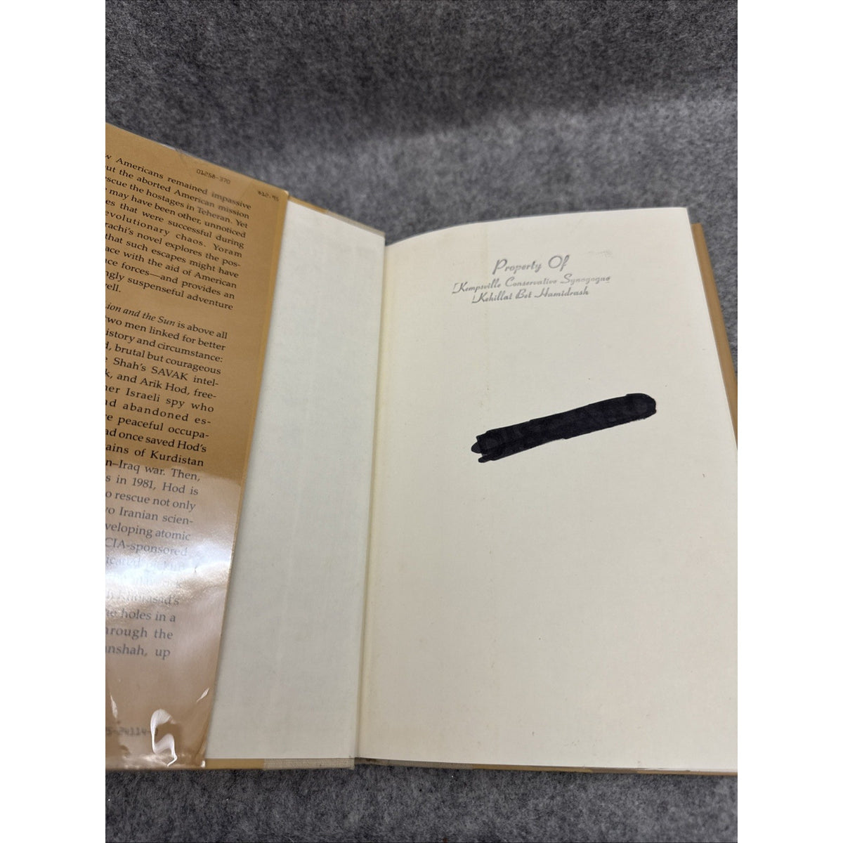 The Golden Lion and the Sun 1982 First Edition HC