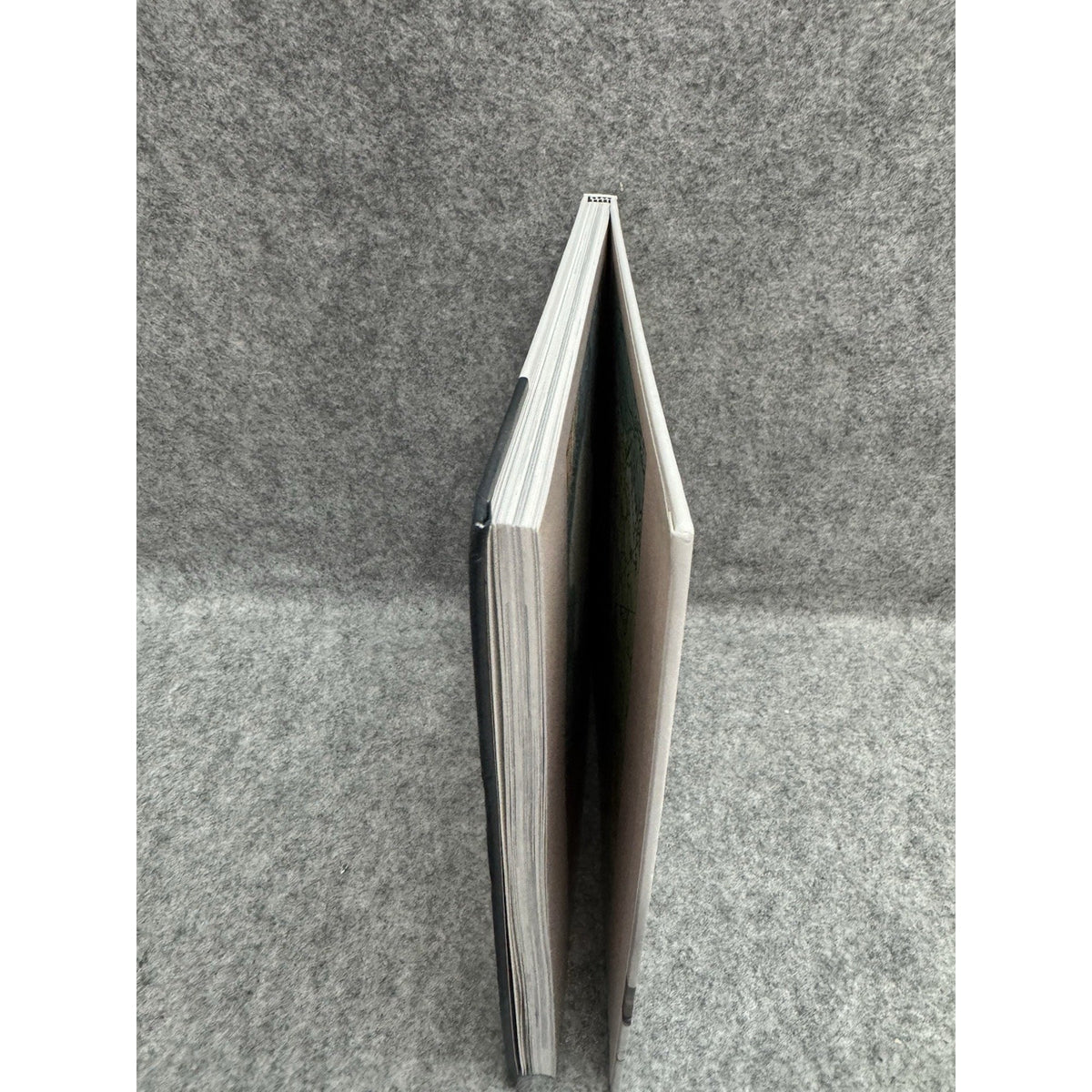 The White Eagle Roald Amundsen Sailor of the Skies 2002 Hardcover
