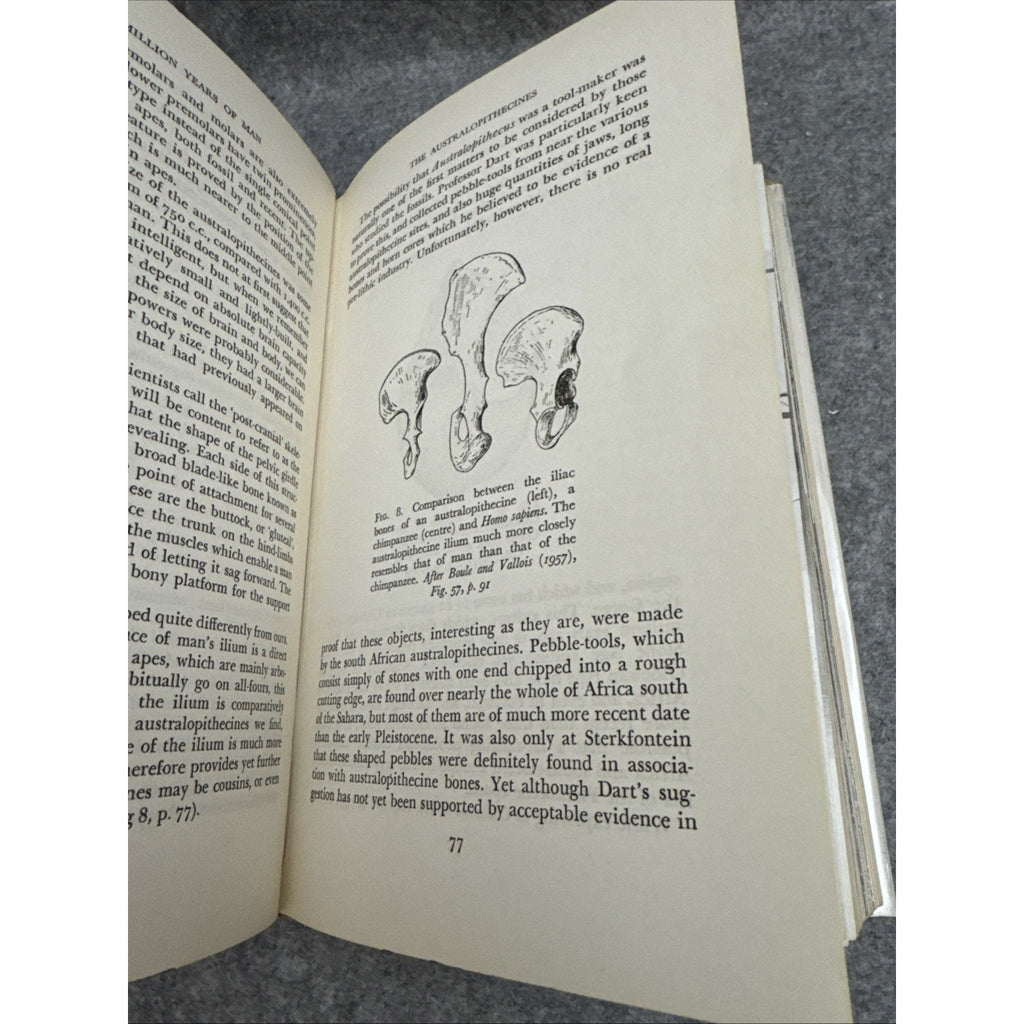 a million years a man carrington 1963 first edition HCDJ