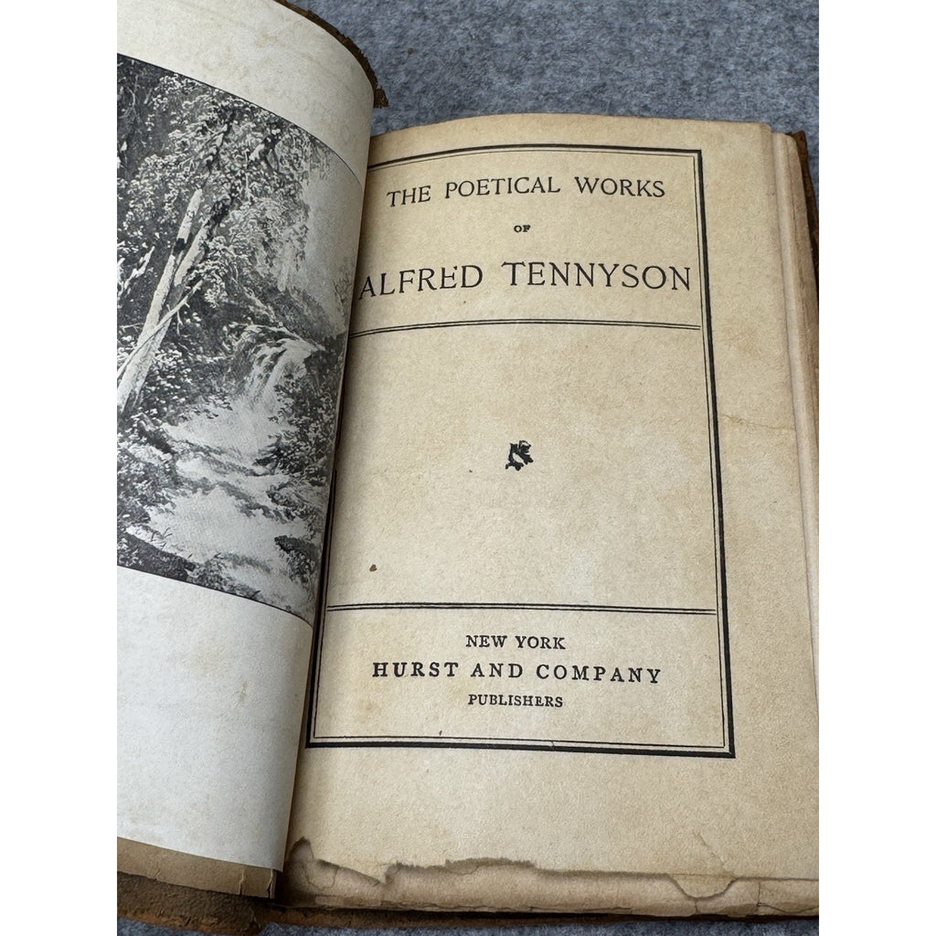 Antique c1900 Tennyson’s Poems Alfred Tennyson Hurst Suede Binding