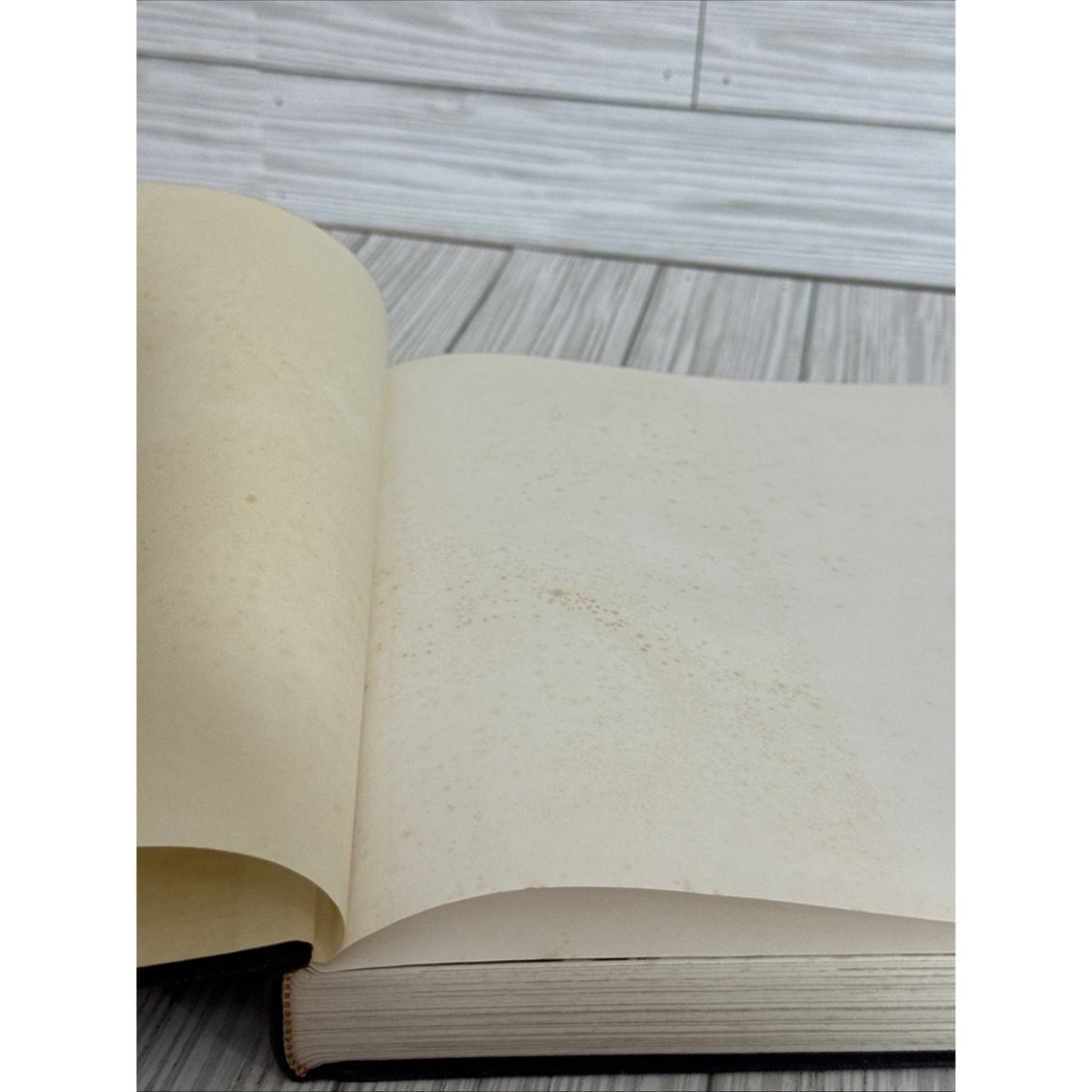 The March of Archaeology by CW Ceram HC DJ 1958 1st American Edition