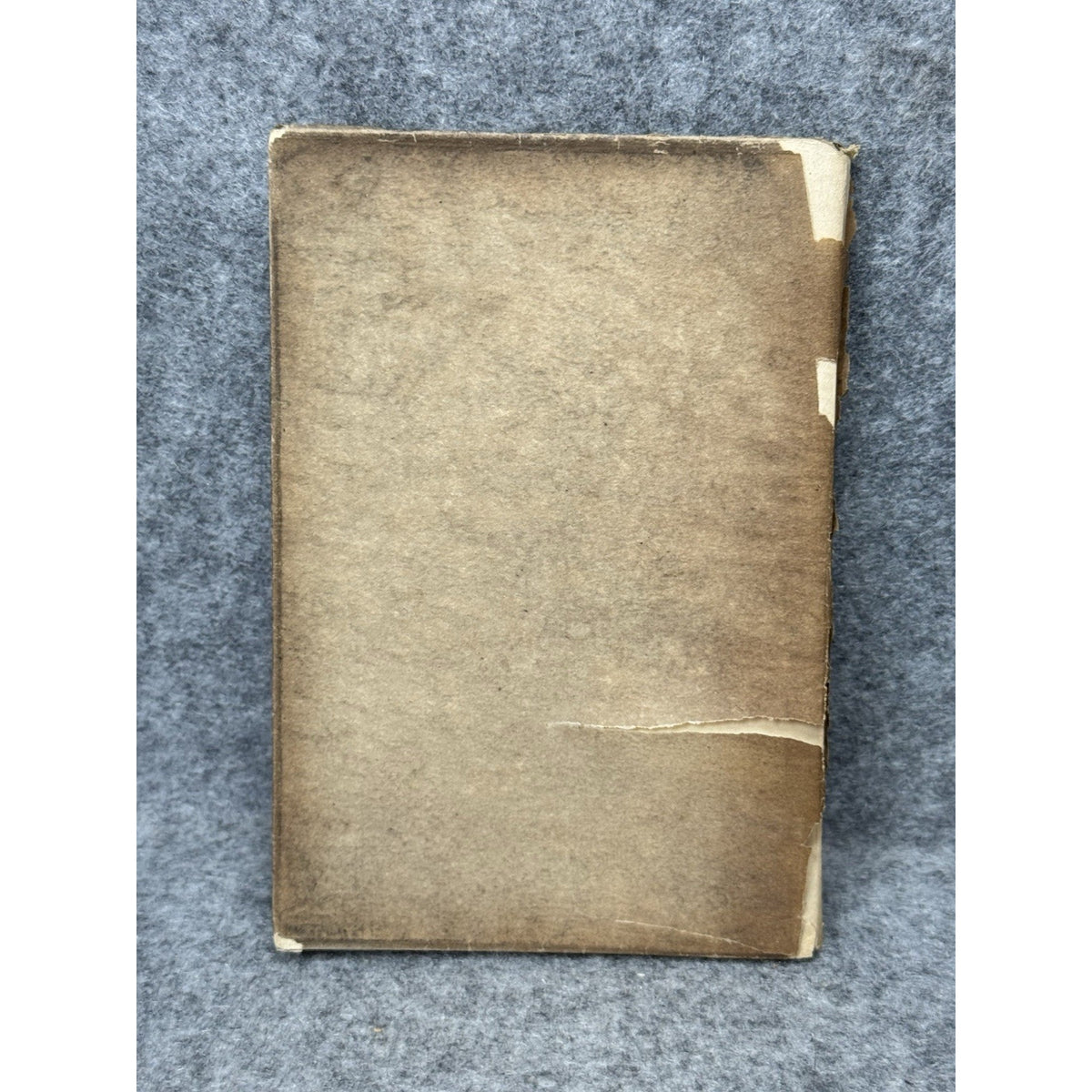 1907 Pond and Stream Life Johnson 1st Ed Gowans Nature Book No 18 Photos