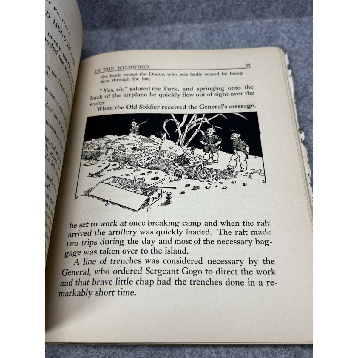 The Teenie Weenies in the Wildwood William Donahey 1923 Illustrated HC