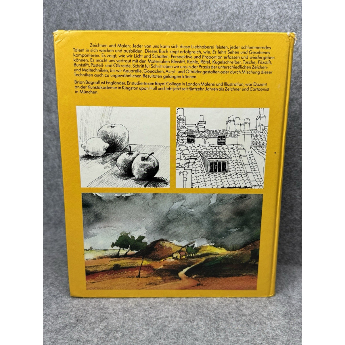 Brian Bagnall Der erfolgreiche Weg zum Zeichnen und Malen German Art Guide HC