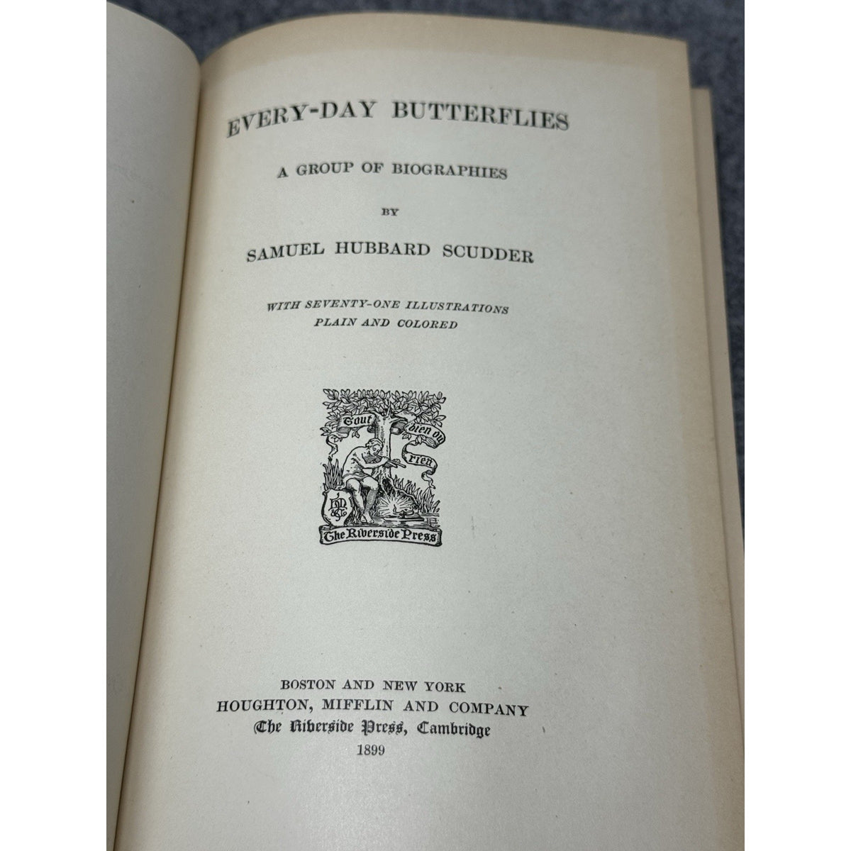 1899 Every-Day Butterflies Scudder First Edition Gilt Hardcover Color Plates