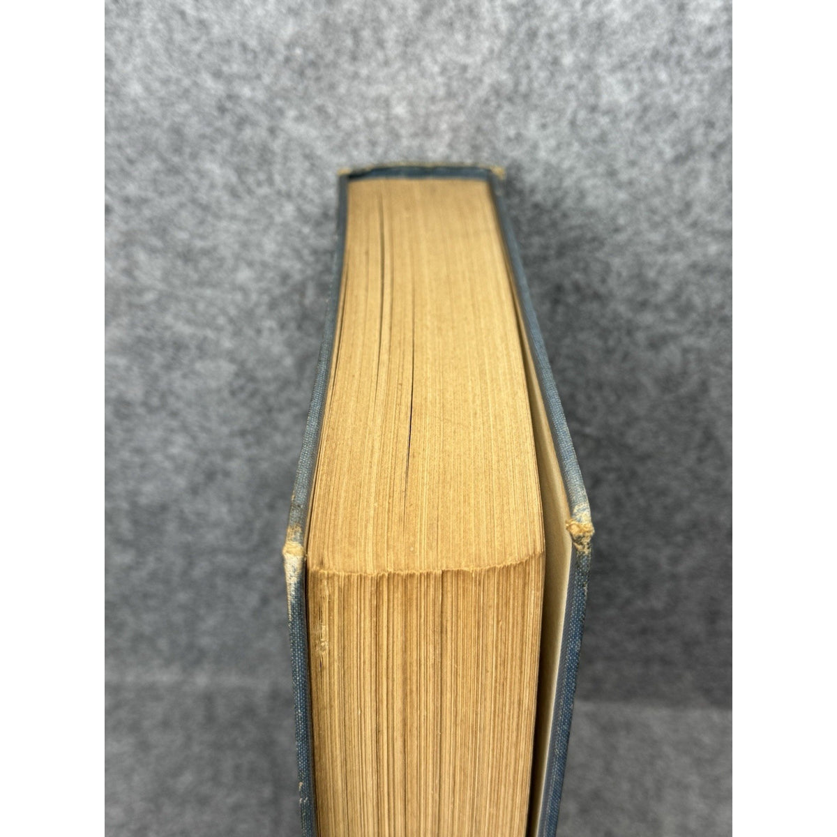 British Sporting Birds Kirkman Hutchinson 1936 Illustrated Hunting Hardcover