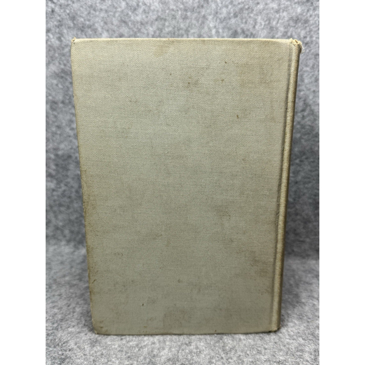 1898 Sielanka A Forest Picture Henryk Sienkiewicz Polish Stories Antique