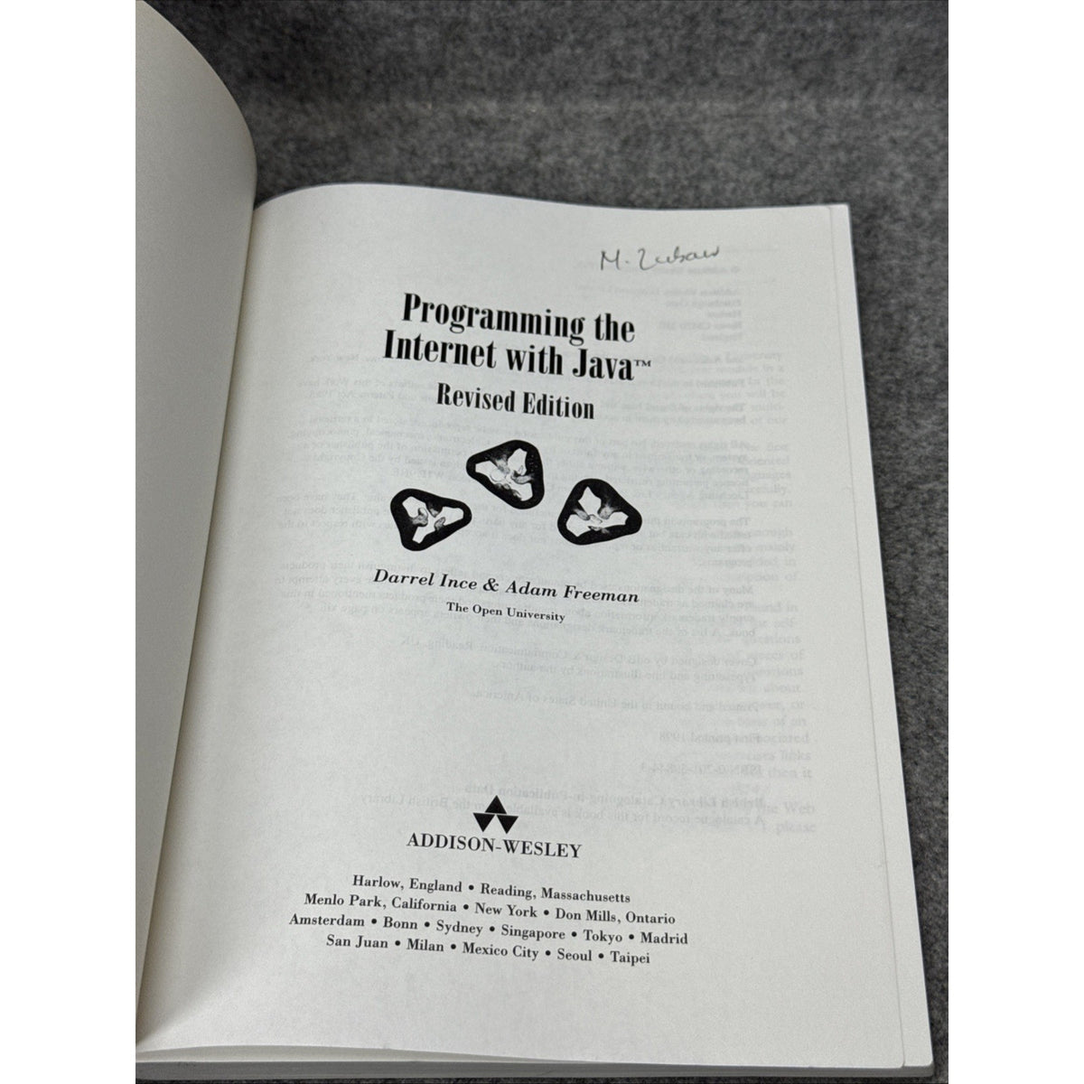 Programming Internet with Java by Adam Freeman and Darrel Ince (1999, Trade...
