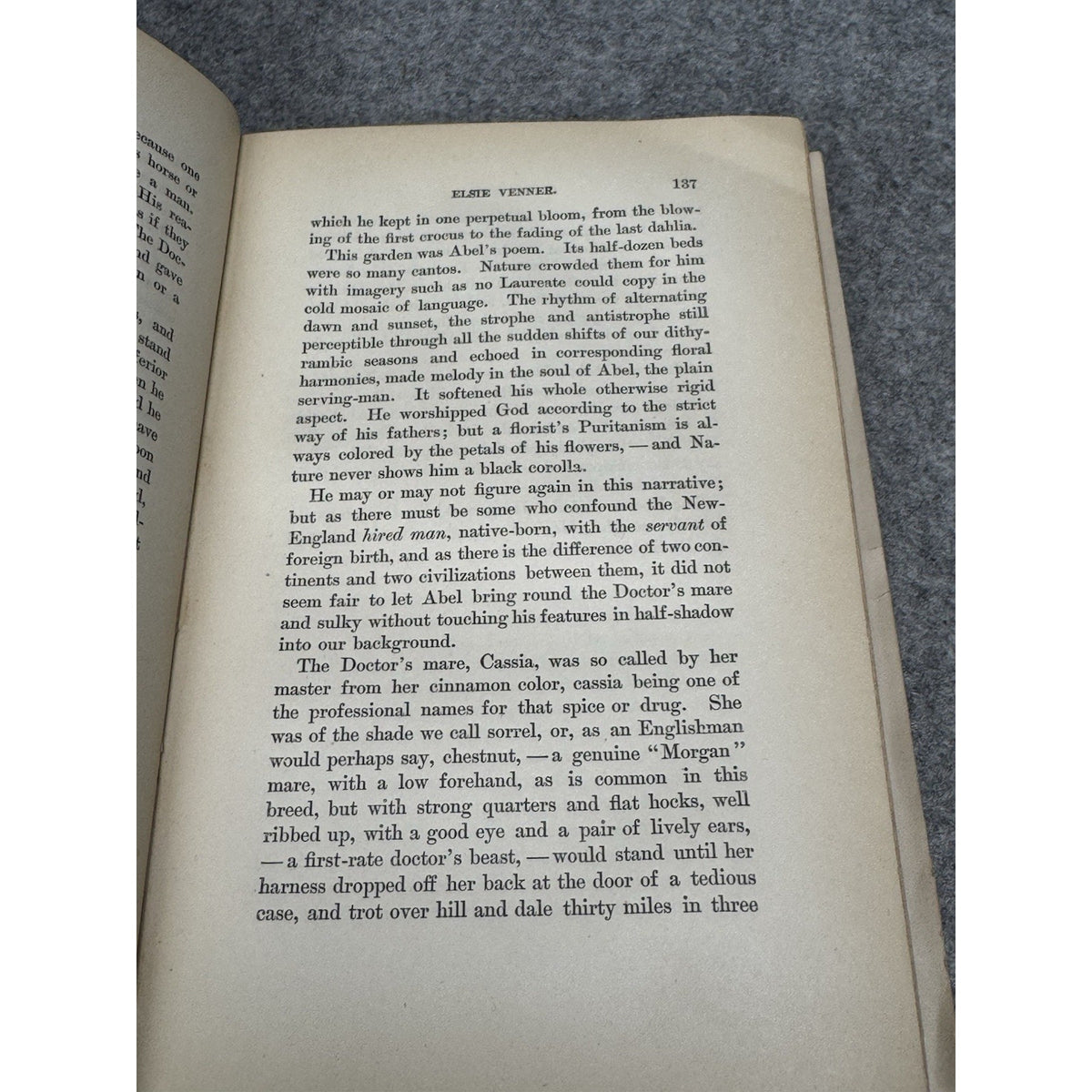 Elsie Venner A Romance of Destiny Oliver Wendell Holmes Riverside Vol V 1890s